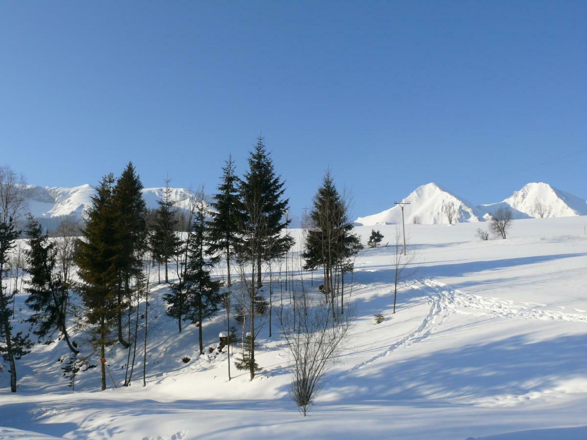 Goralska Obora Guest House Ždiar Екстериор снимка